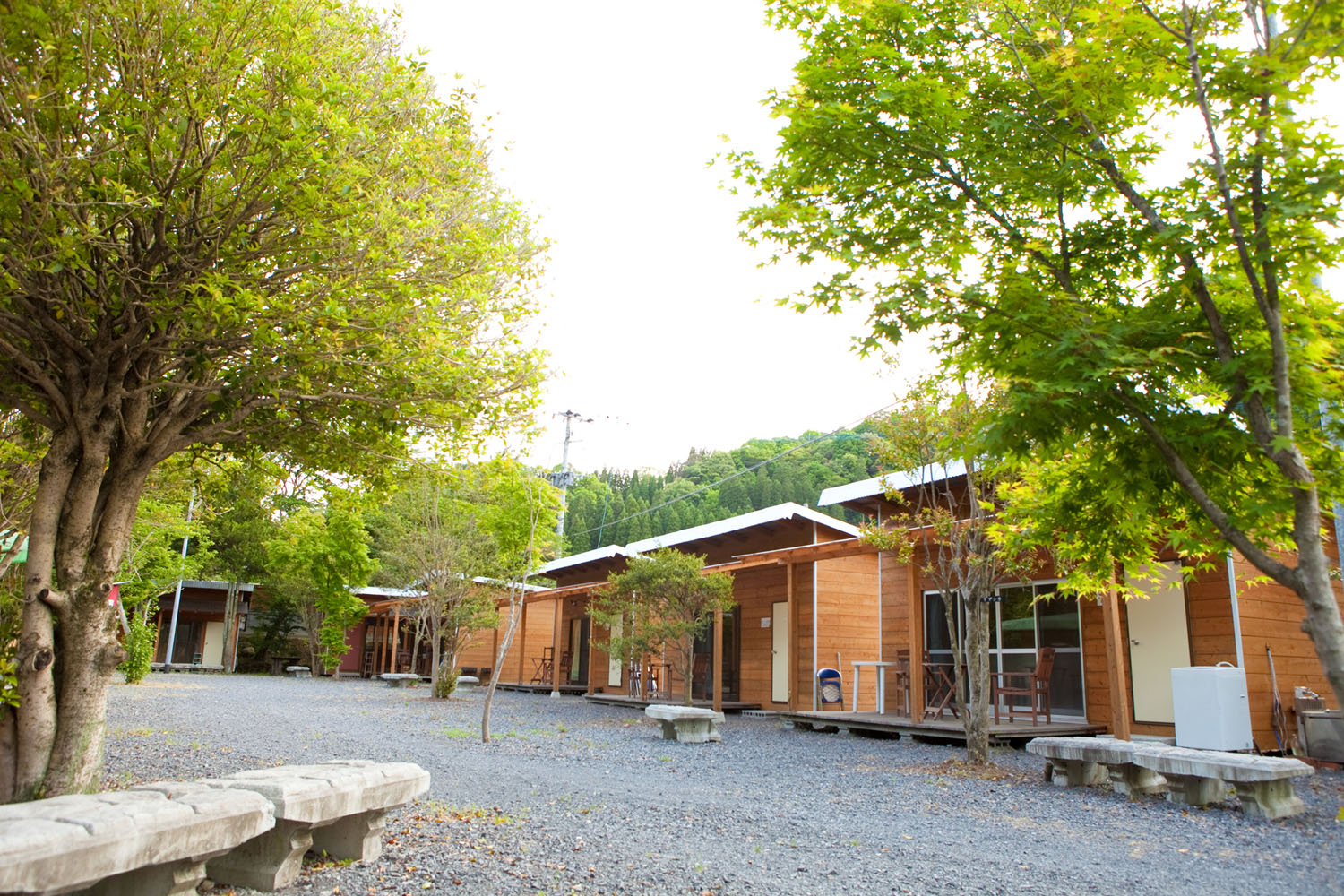 いなづみ白山川キャンプ村写真